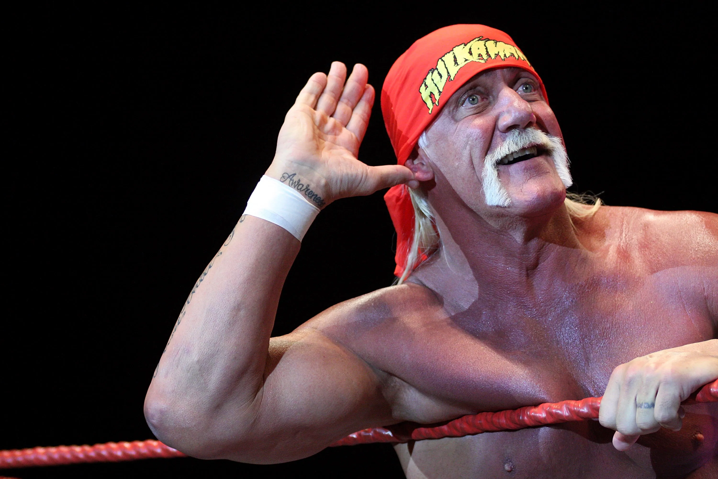 Professional wrestling star Terry “Hulk Hogan” Bollea has died at the age of 71. WireImage