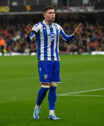 osh Windass with Sheffield is celebrating a goal.